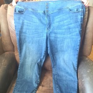 Lane bryant skinny jeans